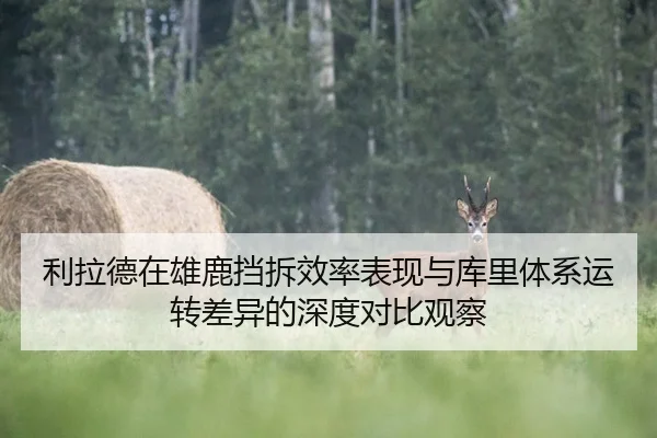 利拉德在雄鹿挡拆效率表现与库里体系运转差异的深度对比观察